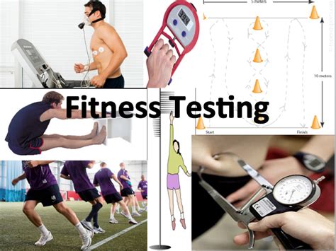 fitness testing in sport pdf